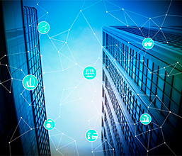 JAIF's Member Company List